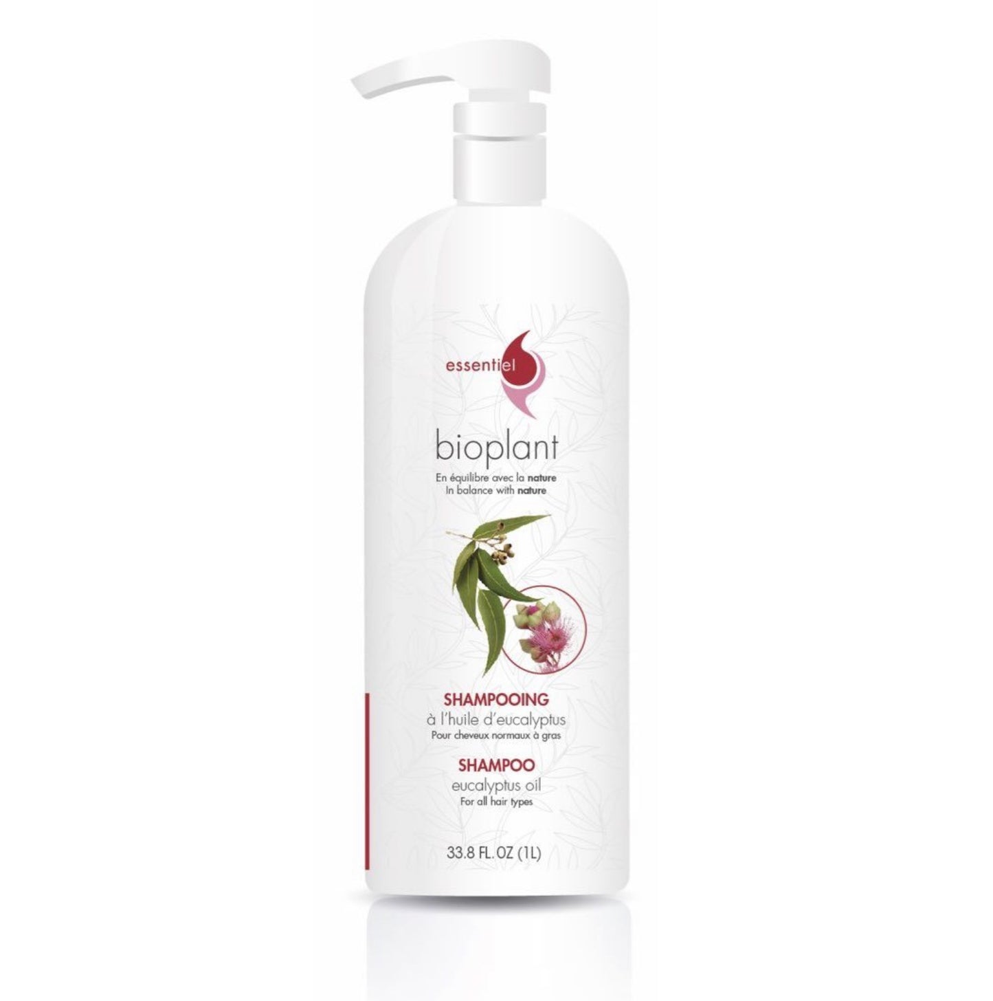 Shampoing HUILE D’EUCALYPTUS