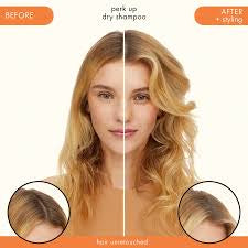 Shampoing SEC Perk Up