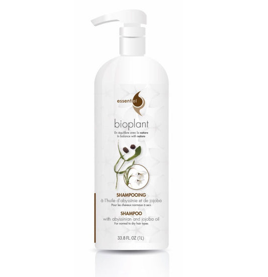 Shampoing HUILE D’ABYSSINIE
